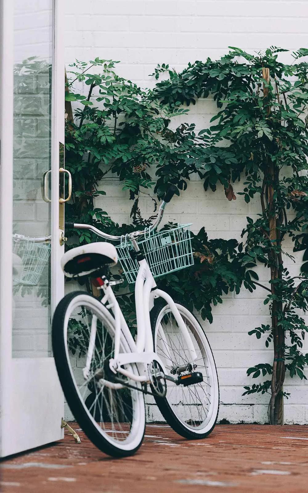 Getting Around Evani 3223 Wilshire